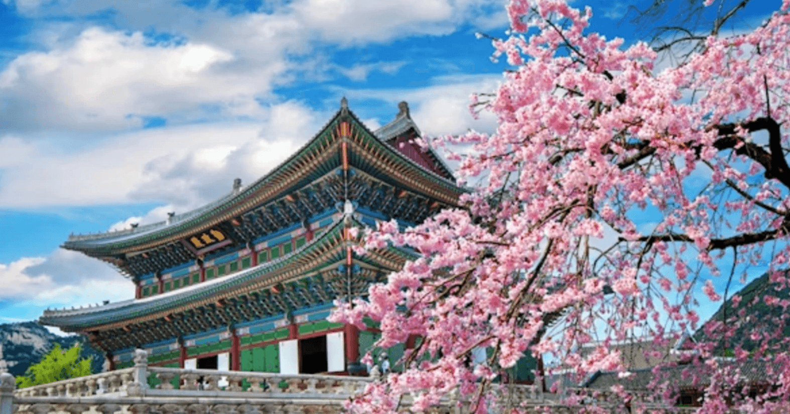 All You Imagine. All in Korea. All Yours to Win!