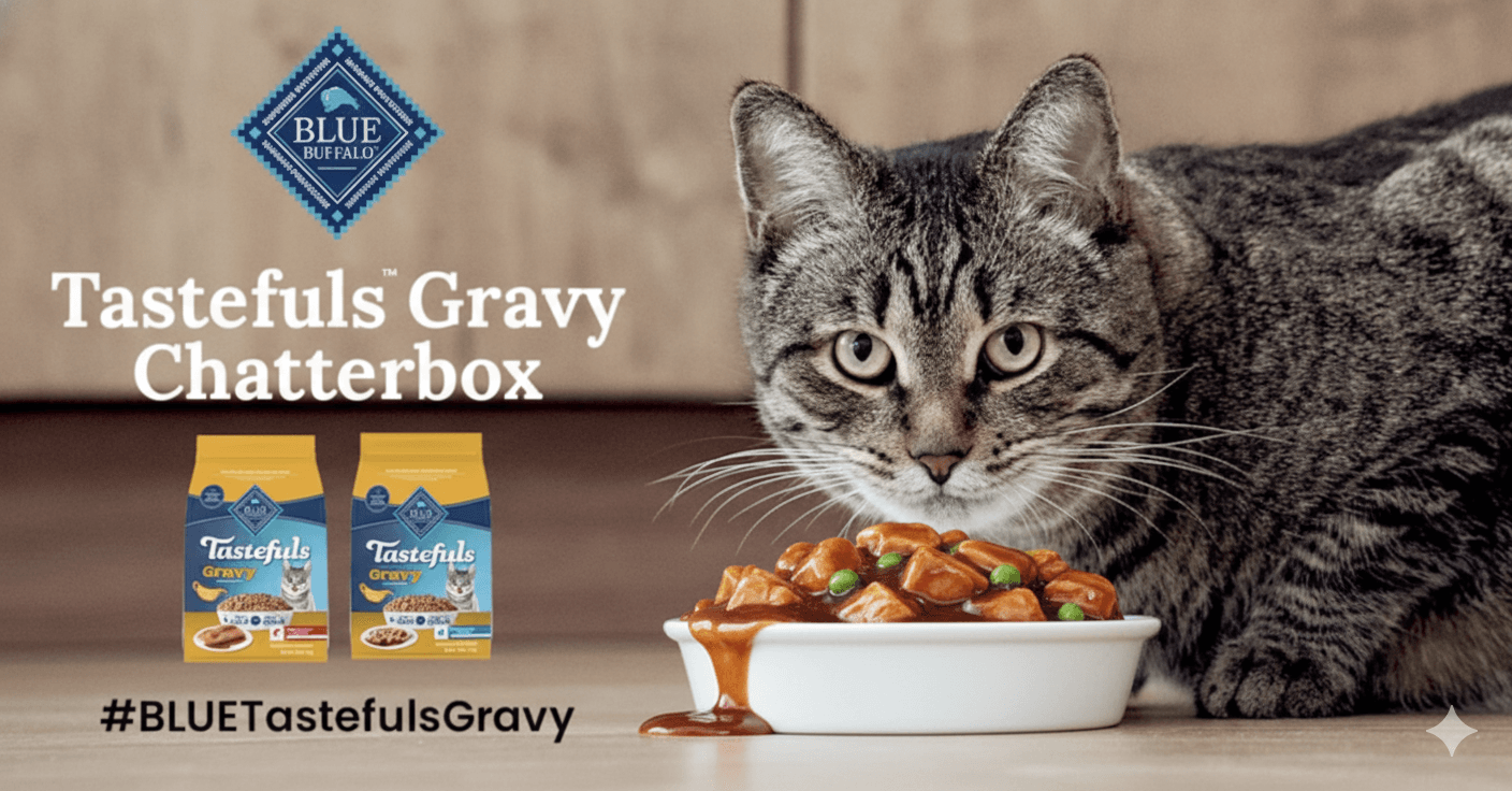 Purr-fect Freebie! Get a FREE Blue Buffalo Tastefuls Gravy Kit