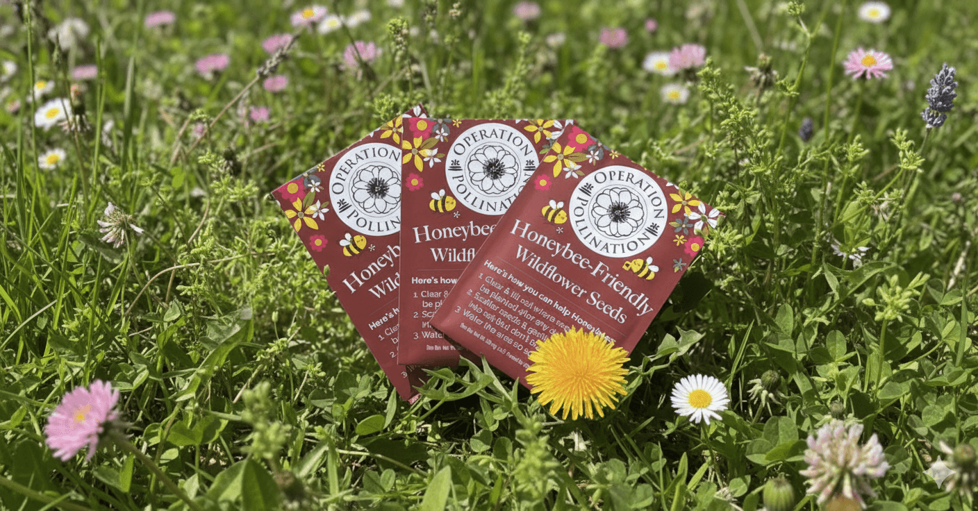 Grow Beauty for Free – 5 Wildflower Seed Packs!