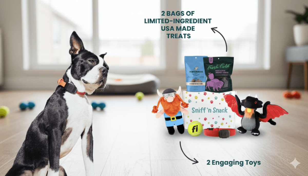 Sniff It. Snack It. Love It. Free Dog Box + Free Shipping!