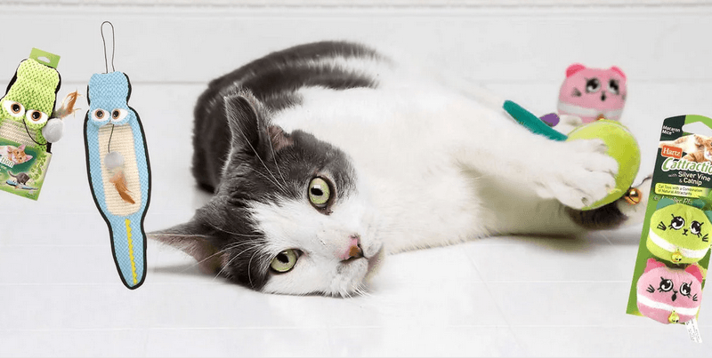 Feline Fun Awaits – Get Your Free Hartz Toys