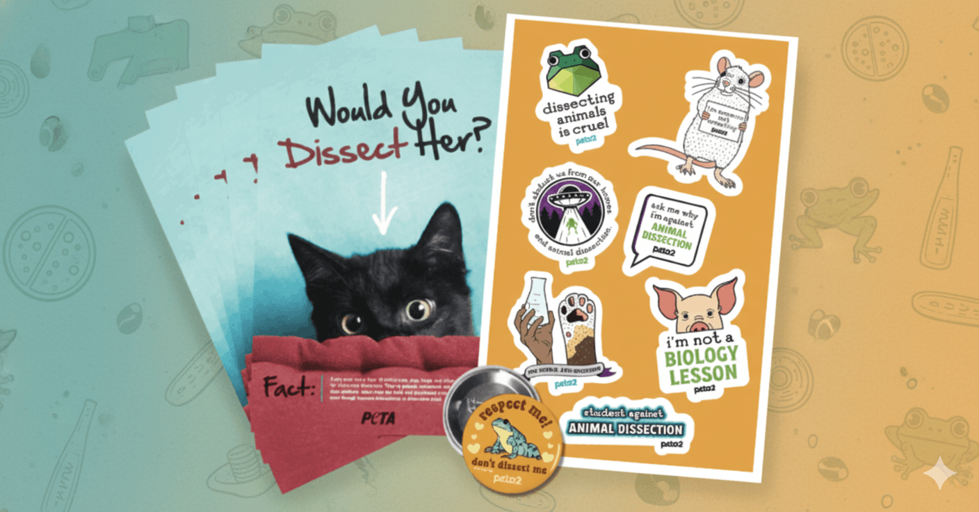 Students Against Animal Dissection Stickers