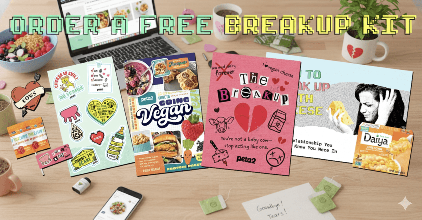 PETA Breakup Survival Kit