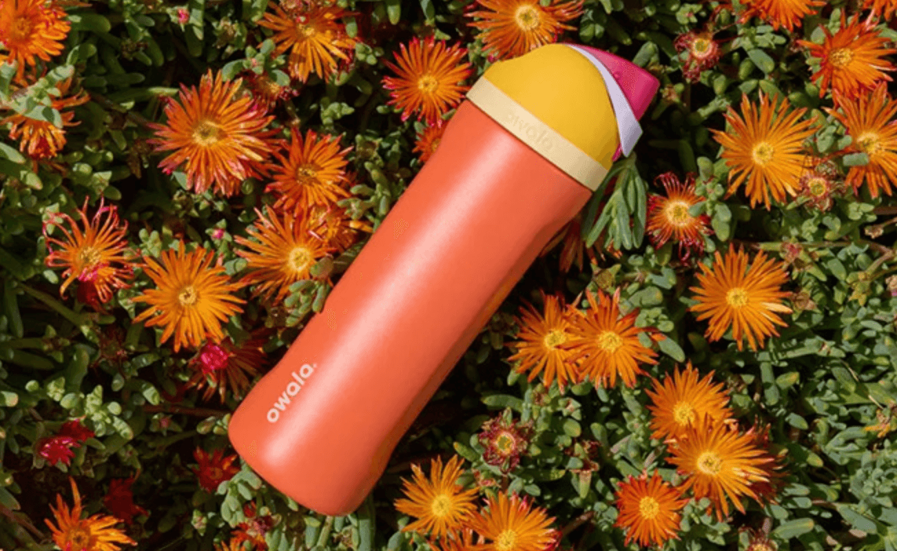 Owala FreeSip Water Bottle