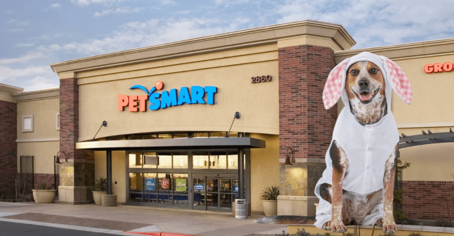 PetSmart Pet Event